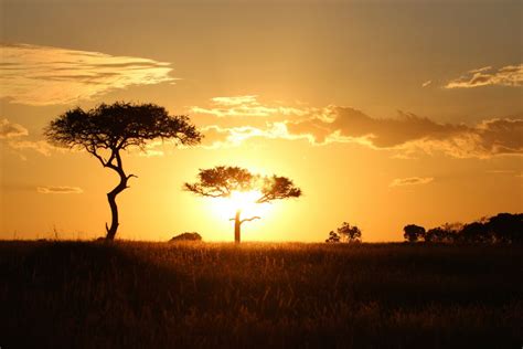Traumreise Tansania Abendrot Reisen Gmbh