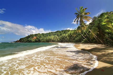 Beautifull Beach In Dominica Pure Vacations