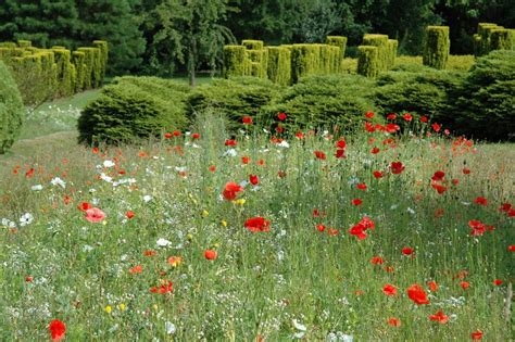 The Garden Wanderer Les Jardins De Séricourt France