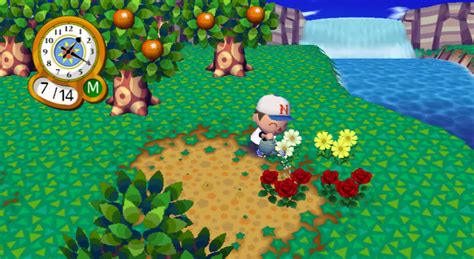 Animal Crossing City Folk Review Wii Nintendo Life