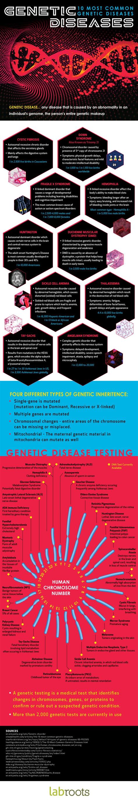 10 Most Common Genetic Diseases Infographic Infographics