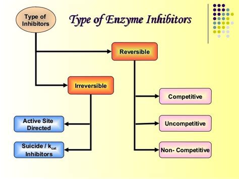 Differences Between Irreversible Enzyme Inhibitors An