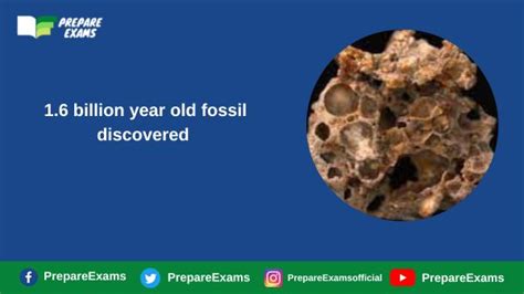 1 6 Billion Year Old Fossil Discovered PrepareExams