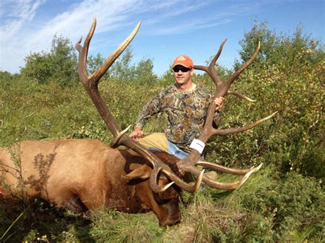 Record Elk For Minnesota Nearly Official