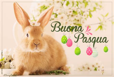 Fai i tuoi migliori auguri di. Buona Pasqua: frasi e immagini di auguri da dedicare ilBuongiorno.it