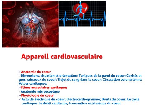 Solution Anatomie Physiologie Unit Syst Me Cardiovasculaire Studypool