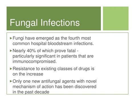 Ppt Antifungal Drug Discovery Powerpoint Presentation Free Download