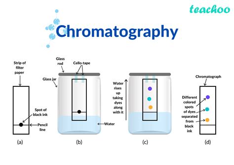 Chromatography Principle Procedure Applications Teachoo