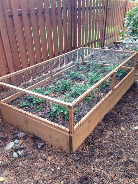 How To Build A Vegetable Garden Rijals Blog