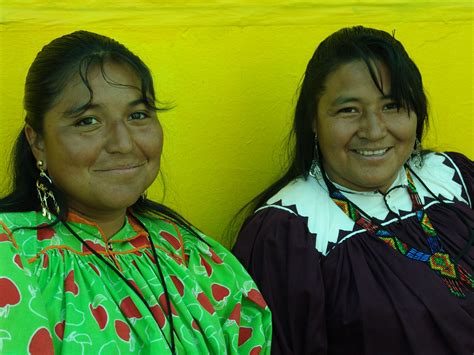 Encuentro Latinoamericano de Mujeres Indígenas Qué son las CAMI