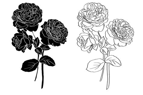 Bunch Of Roses Bunch Of Roses Roses Outline Roses Drawing