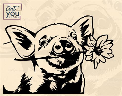 Pigs Svg Files For Cricut Farm Animal Flower Piggy Piglet Etsy