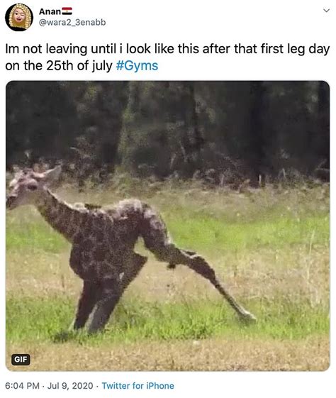 After months of progress, it seems as though the uk is back to where it was in march 2020. Britons welcome the return of gyms with hilarious memes as ...