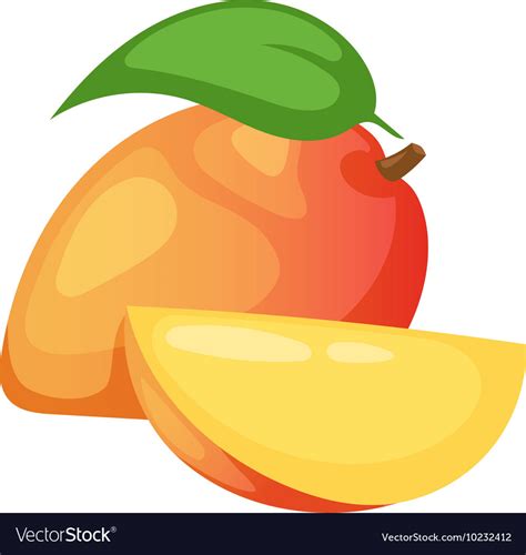 Mango Fruit Royalty Free Vector Image Vectorstock