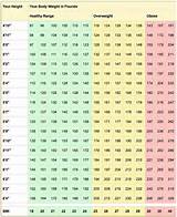 Images of Bmi Ranges