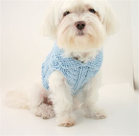 Ravelry Cabled Dog Sweater Pattern By Brandie Knaggs