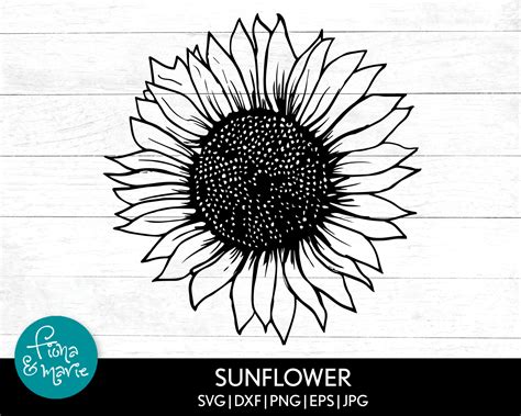 Sunflower Svg File Sunflower Dxf Svg File Silhouette Cut Etsy Images