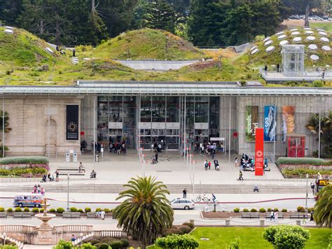 14 best museums in san francisco to visit right now