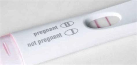 Fake Pregnant Test Hromqr