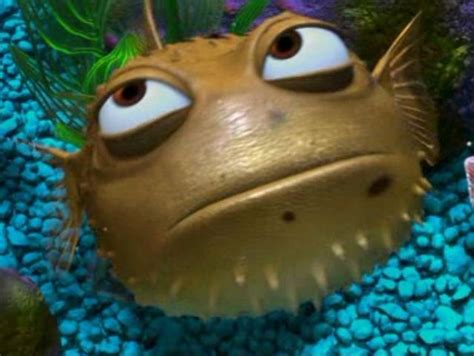 As the name suggests, the kelpfish hangs out in groves of kelp, hiding. Can You Name All These 'Finding Nemo' Characters ...