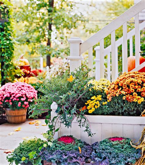 Outdoor Fall Decorating With Mums Midwest Living