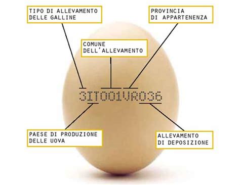 Maybe you would like to learn more about one of these? Come leggere il codice di tracciabilità delle uova