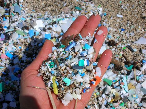 Ocean Microplastics What Are They Why Are They Bad And What Are We