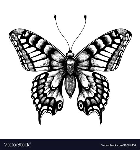 Silhouette Of Butterfly Black And White Tattoo Vector Image