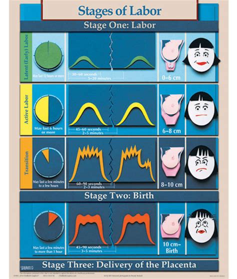 Phases And Stages Of Labour Chart