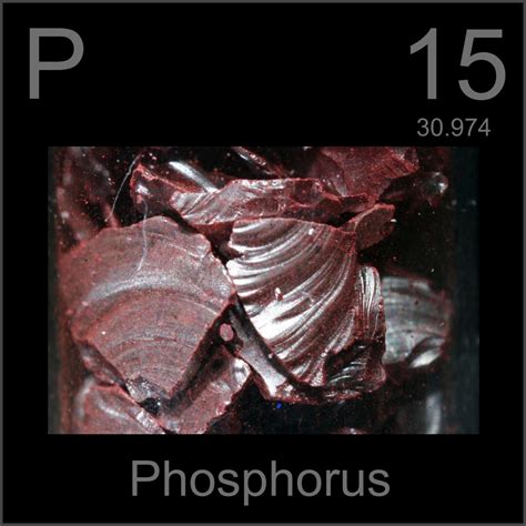 Facts Pictures Stories About The Element Phosphorus In The Periodic Table