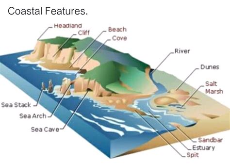 Coastal Landscape Topic Of 11th Geography