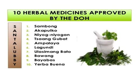 Top 10 Herbal Plants In The Philippines Img Abbey