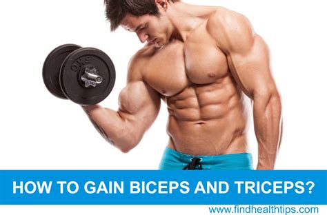 Tips To Gain Biceps And Triceps Find Health Tips