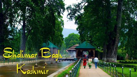 Shalimar Bagh Kashmir I Mughal Garden Srinagar I Shalimar Garden