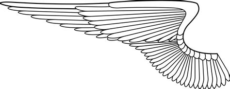 Wing Clipart Template Wing Template Transparent Free For Download On