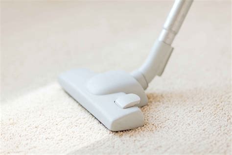 Diese kriterien sind entscheidend wie funktioniert allerdings die reinigung eines teppichs mit einem dampfreiniger, ohne ihn. Teppich Polster Reiniger | Fleckenenferner