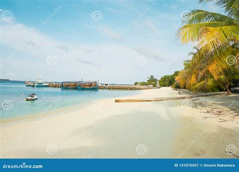 Amazing Island In The Maldives Turquoise Waters With Blue Sky