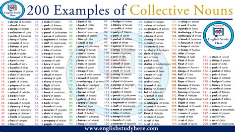 Examples Of Collective Nouns English Study Here