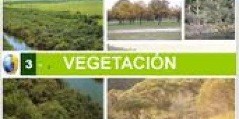 Módulo Geografía Vegetación 3ero Ciclo Básico Uruguay Educa