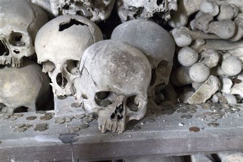 Maybe you would like to learn more about one of these? Bubonic plague 2020: Is the bubonic plague back? | Express ...