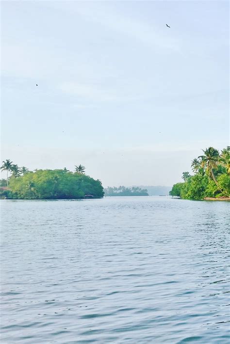 Munroe Island Kerala Backwaters Homestay Why Its The Best 🌴 Kerala