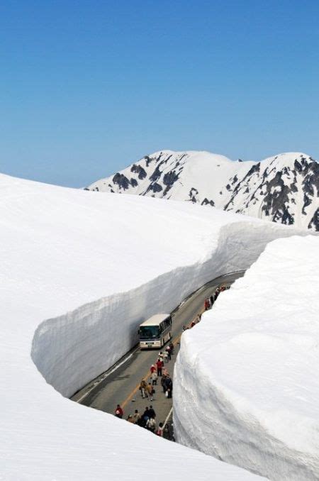 Road Carved Out Of The Snow Tateyama Kurobe Alpine Route Toyama Japan