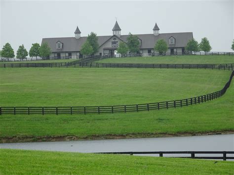 A Peek Into Kentucky Bluegrass Horse Country Active
