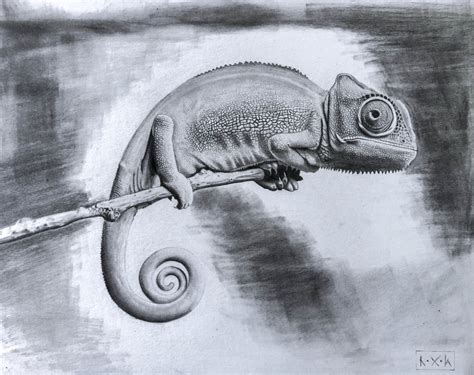 The image is thin lines. Lizard Graphite Drawing, Pencil Art, Chameleon Lizard ...