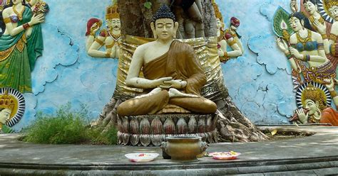 Buddha Under Bodhi Tree By Amanda Gazidis Redbubble