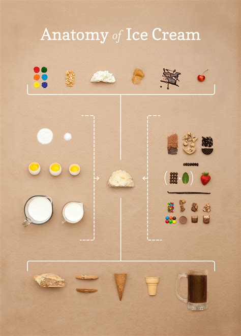 Anatomy Of Ice Cream