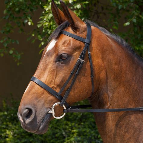 Horse Life And Love All About Bridles