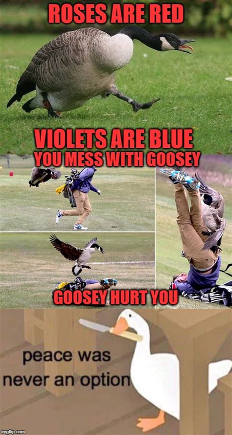 Dont Mess With Goosey Imgflip