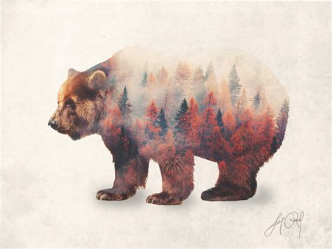 Bear Double Exposure Animal Portraits By Lunaroveda On Deviantart