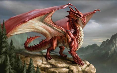 Dragon Pictures wallpaper | 1920x1200 | #78003